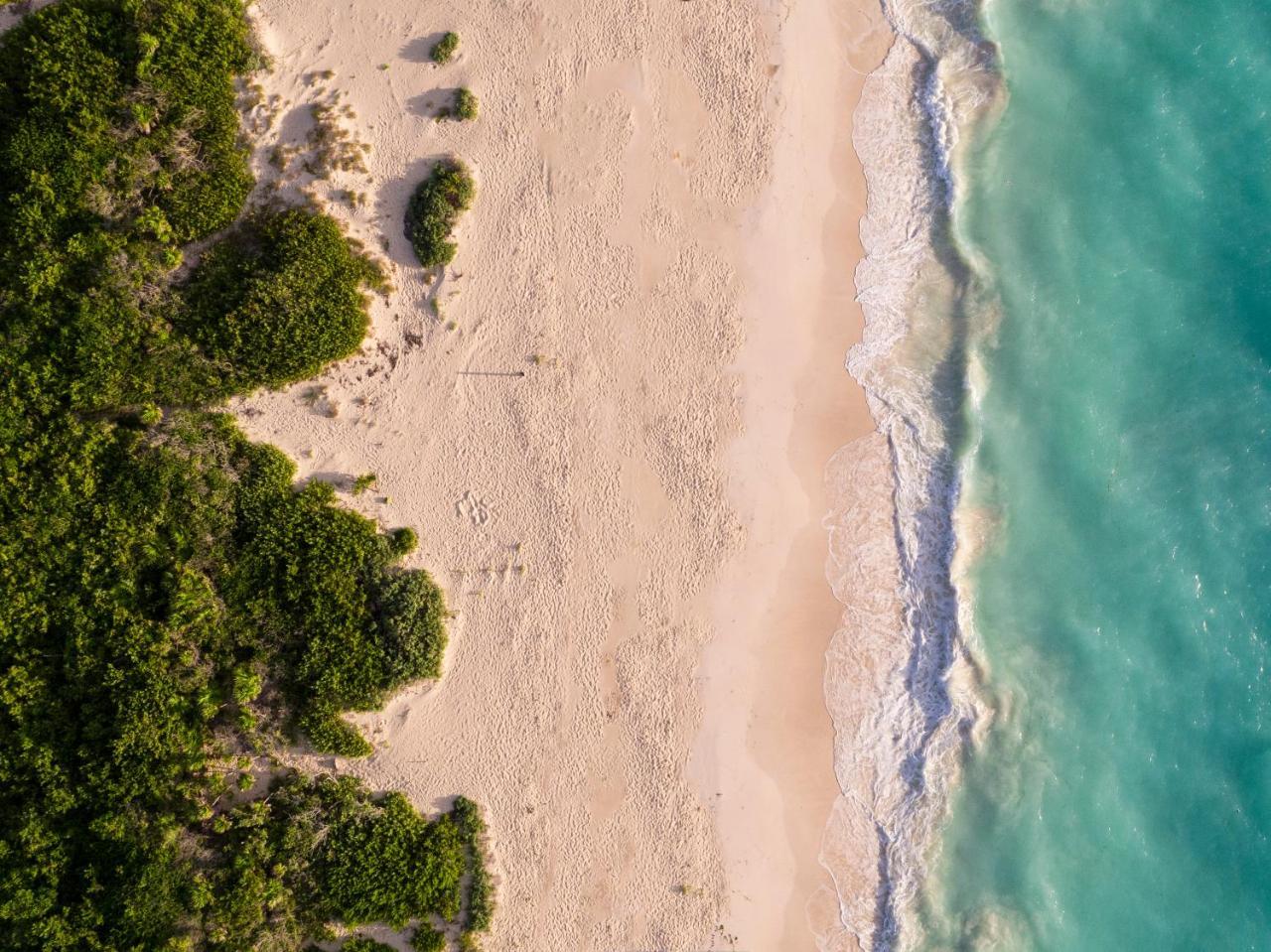 Grand Palladium Costa Mujeres Resort & Spa Cancún Buitenkant foto